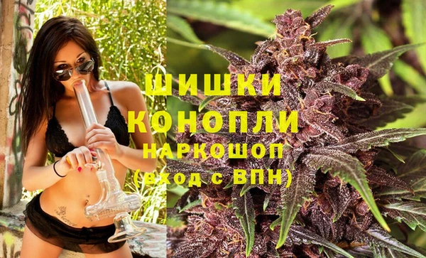 винт Нягань
